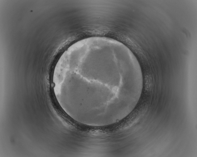X0000111220634200907301226