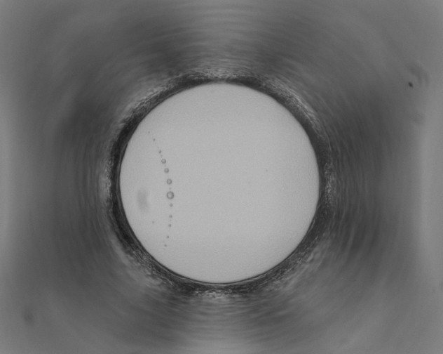 X0000111220635200907301226