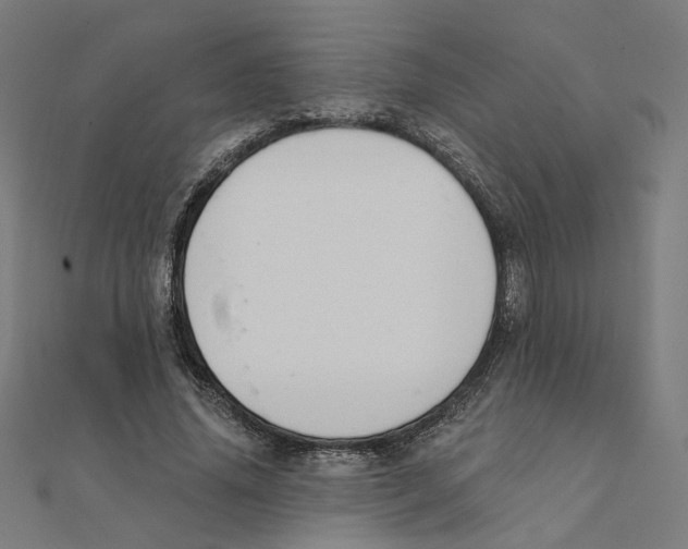 X0000111220636200907301226
