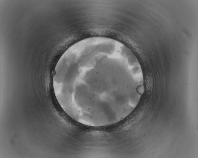 X0000111220637200907301226