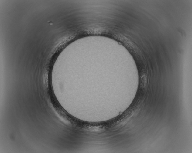 X0000111220638200907301226