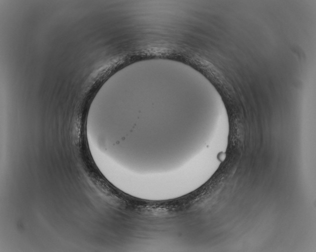 X0000111220640200907301226