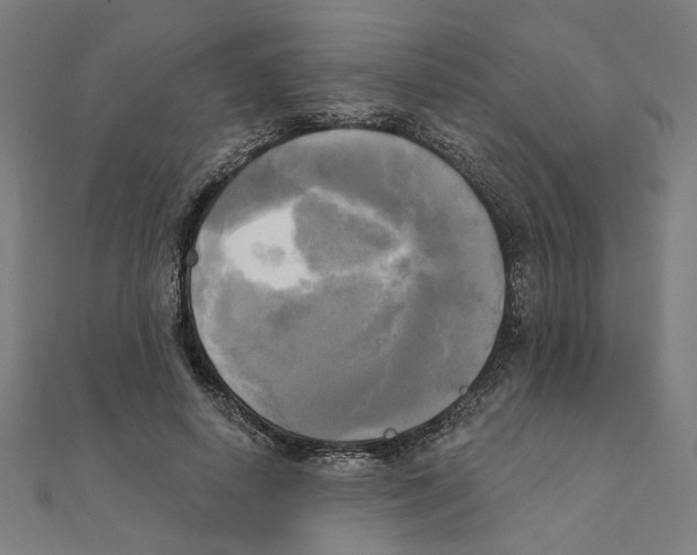 X0000111220642200907301226