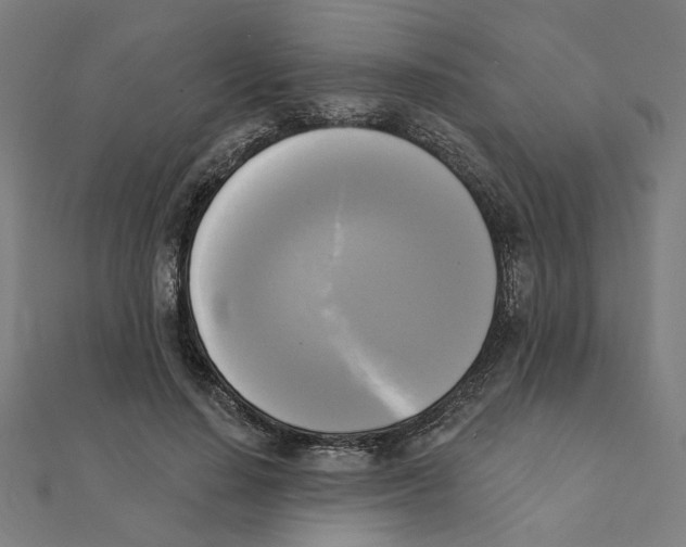 X0000111220644200907301226