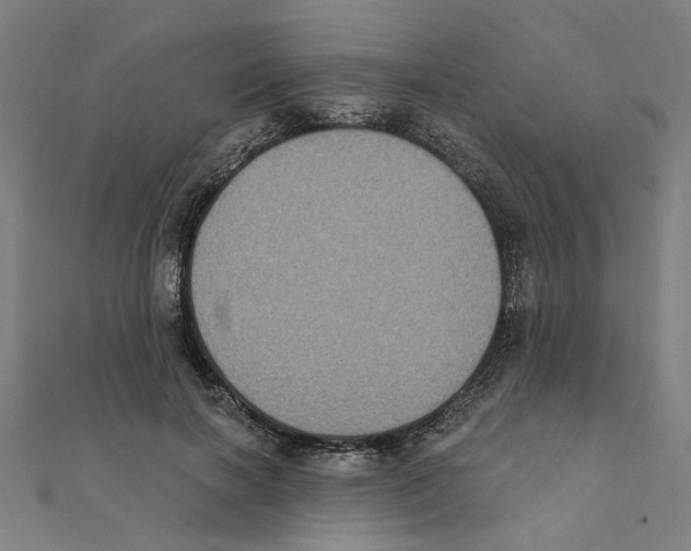 X0000111220646200907301226
