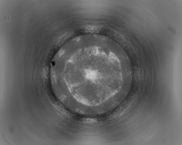 X0000111220649200907301226