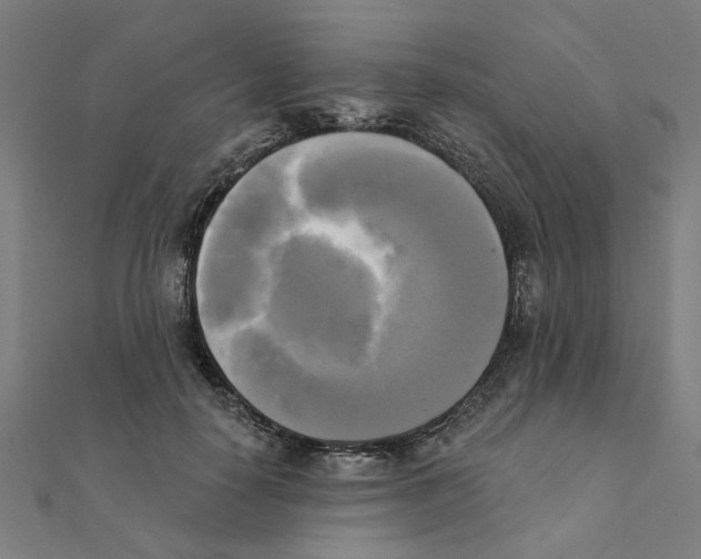 X0000111220650200907301226