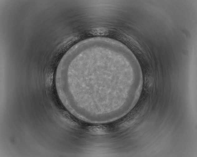 X0000111220652200907301226