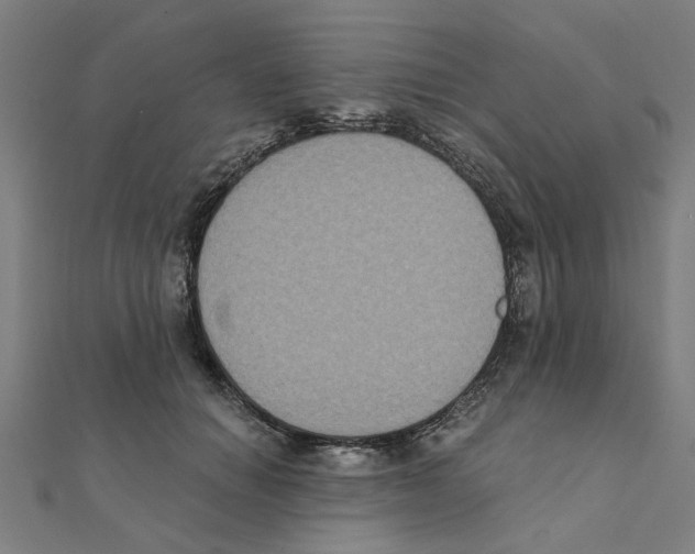 X0000111220654200907301226