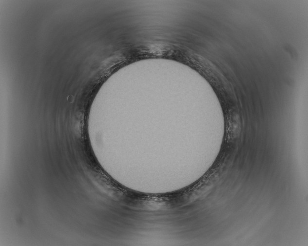 X0000111220656200907301226