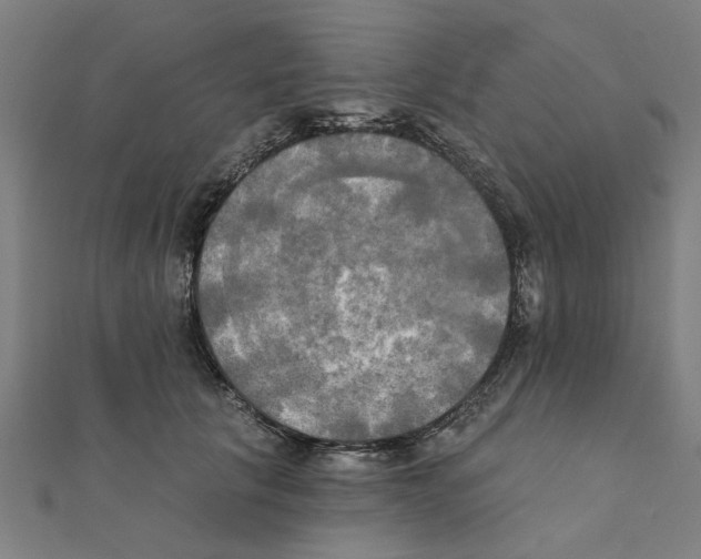 X0000111220657200907301226
