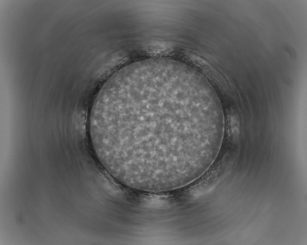 X0000111220664200907301227