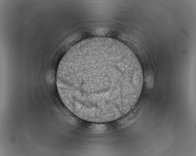 X0000111220665200907301227