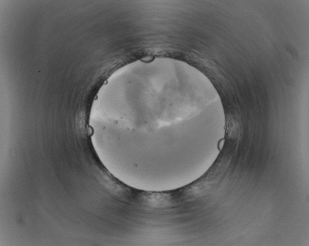 X0000111220670200907301227