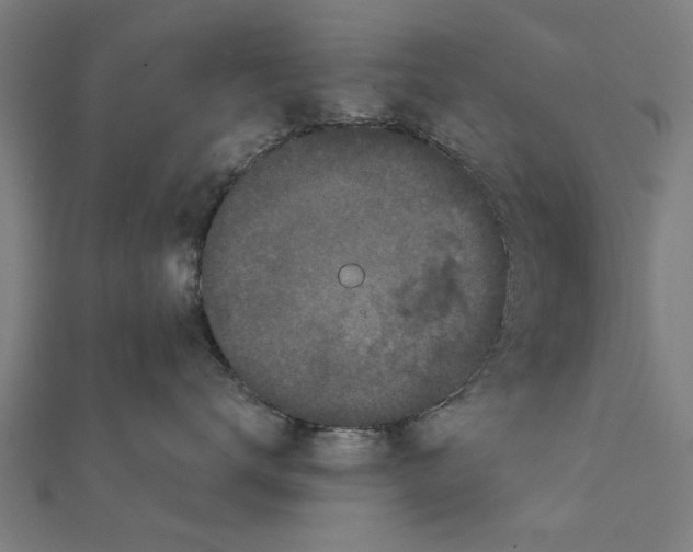 X0000111220672200907301227