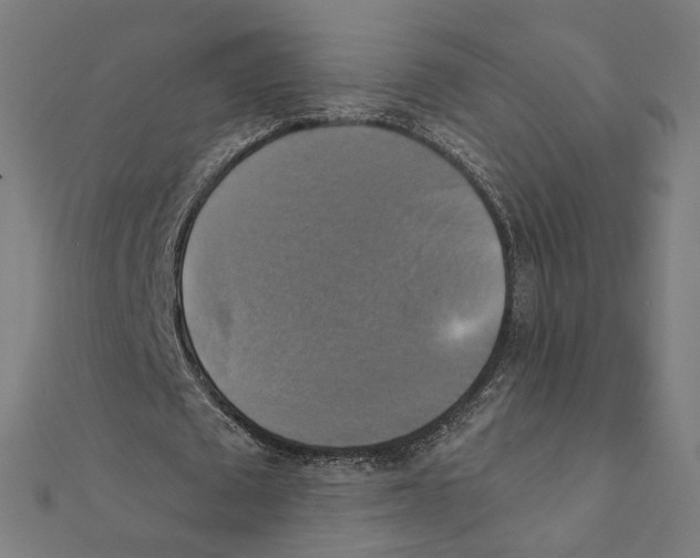 X0000111220673200907301226
