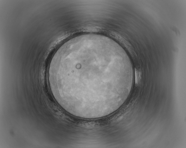 X0000111220675200907301226