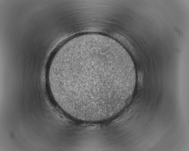 X0000111220676200907301226
