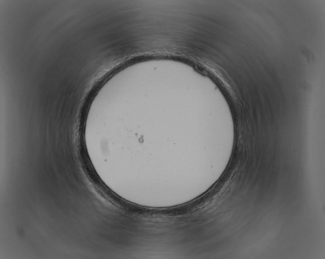 X0000111220677200907301226