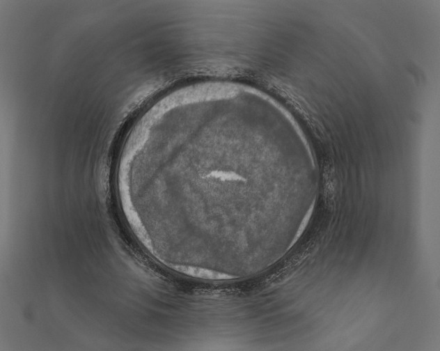 X0000111220679200907301226