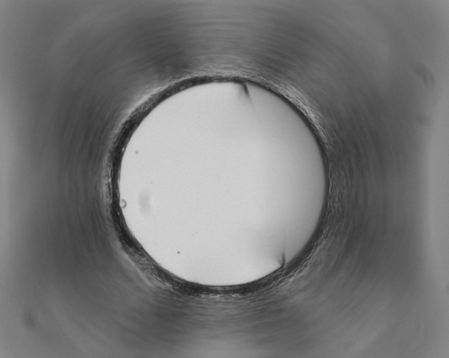 X0000111220680200907301226