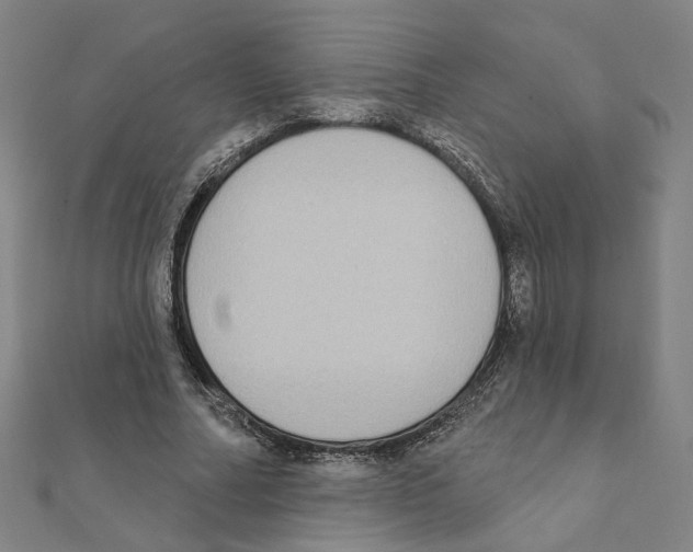 X0000111220682200907301226