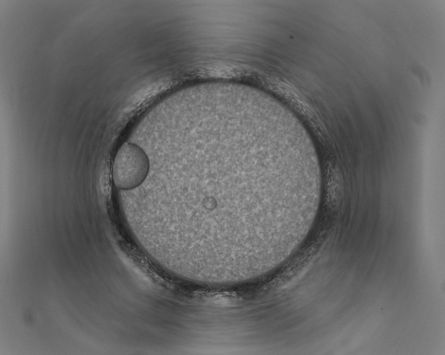 X0000111220683200907301226