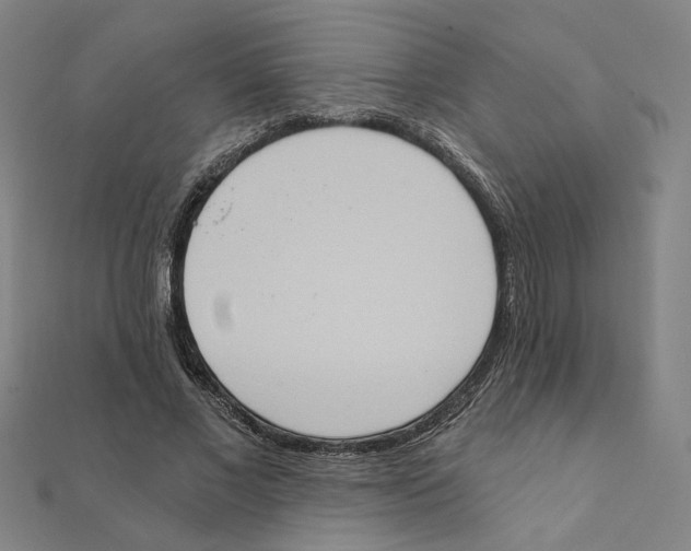 X0000111220685200907301226