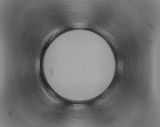 X0000111220686200907301226