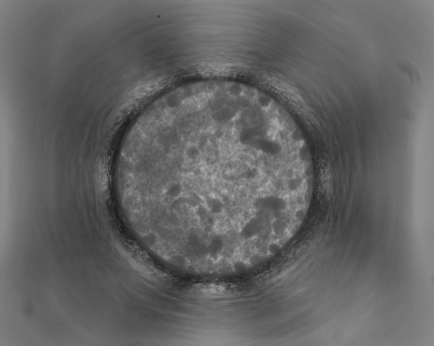X0000111220687200907301226