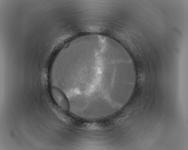 X0000111220688200907301226