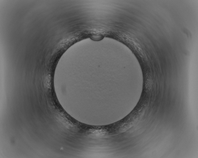 X0000111220689200907301226
