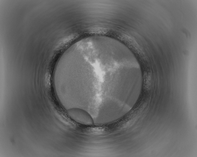 X0000111220692200907301226