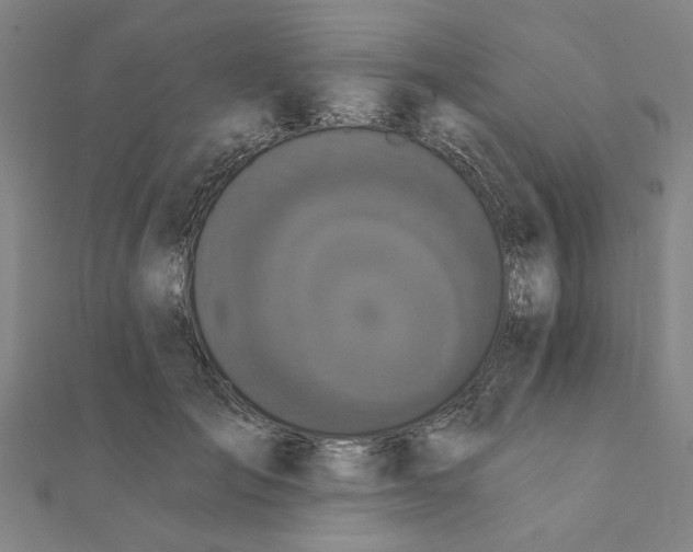 X0000111220701200907301226