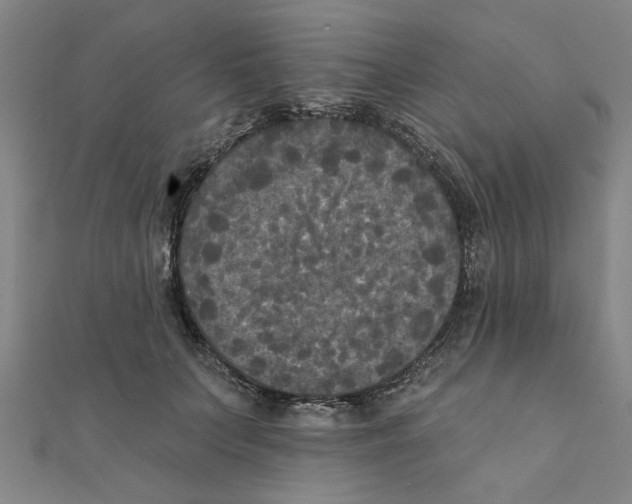 X0000111220703200907301226