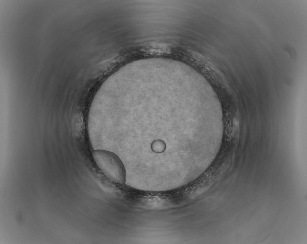 X0000111220704200907301226