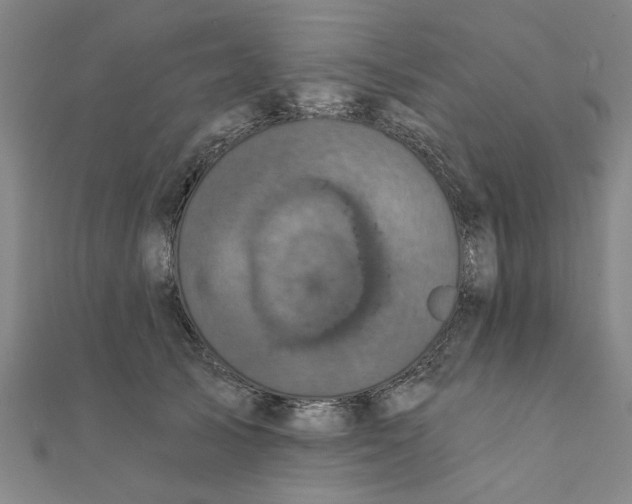 X0000111220705200907301226