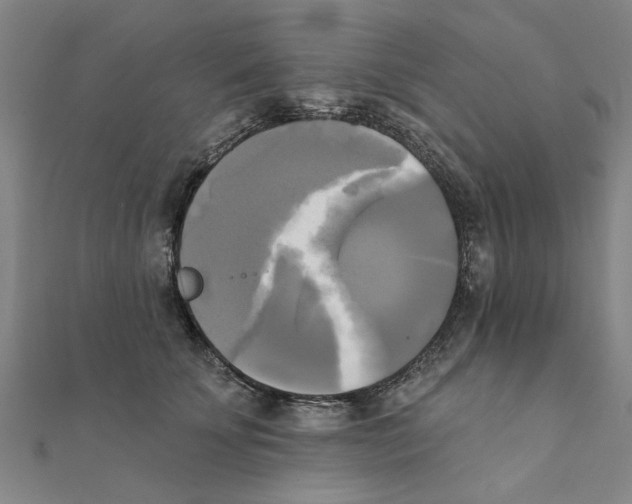 X0000111220707200907301226