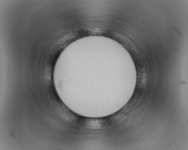X0000111220710200907301226