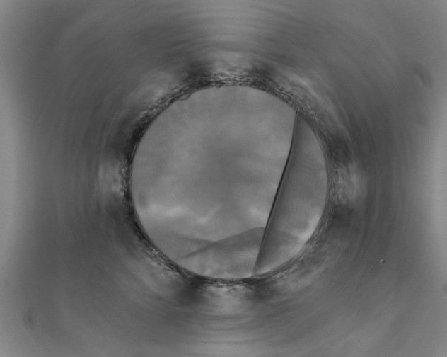 X0000111220712200907301226