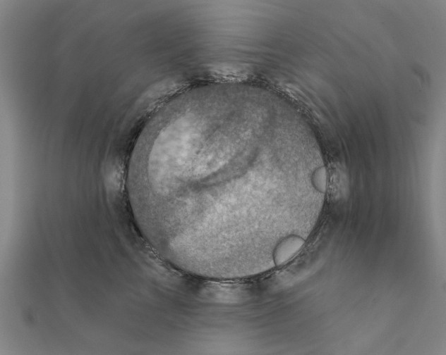 X0000111220713200907301225