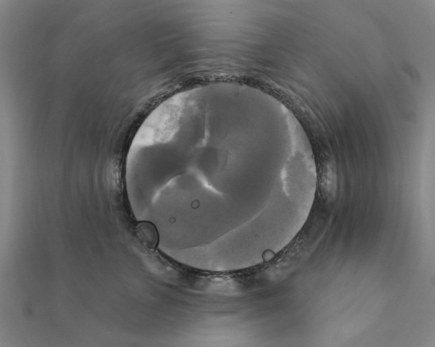 X0000111220715200907301225