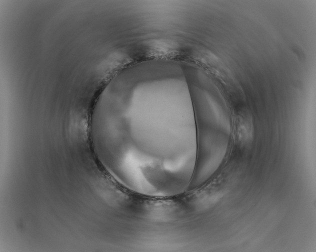 X0000111220716200907301225