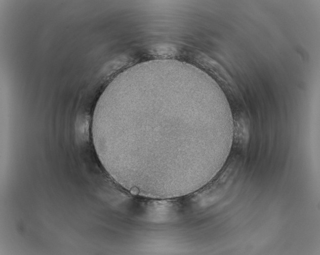 X0000111220717200907301225