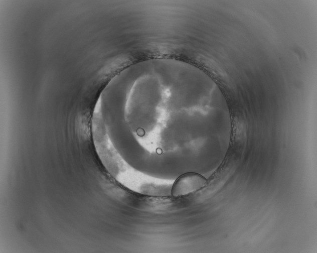 X0000111220719200907301225