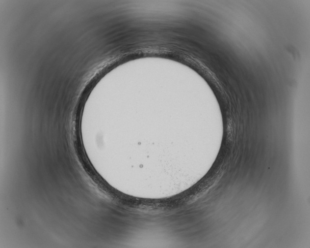X0000111220725200907301225