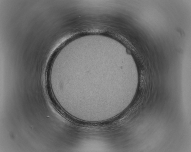 X0000111220726200907301225