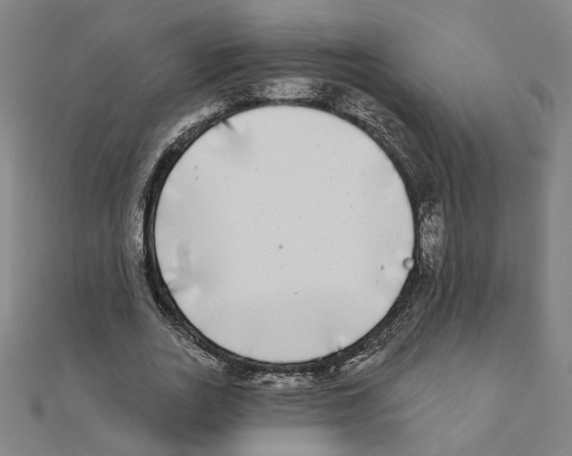 X0000111220727200907301225