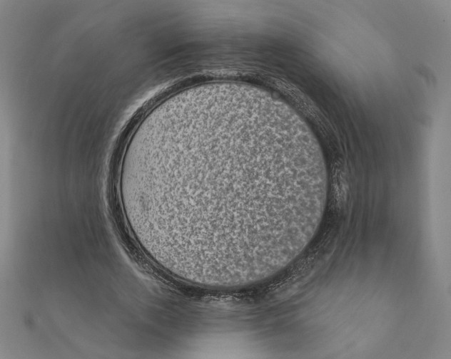 X0000111220728200907301225
