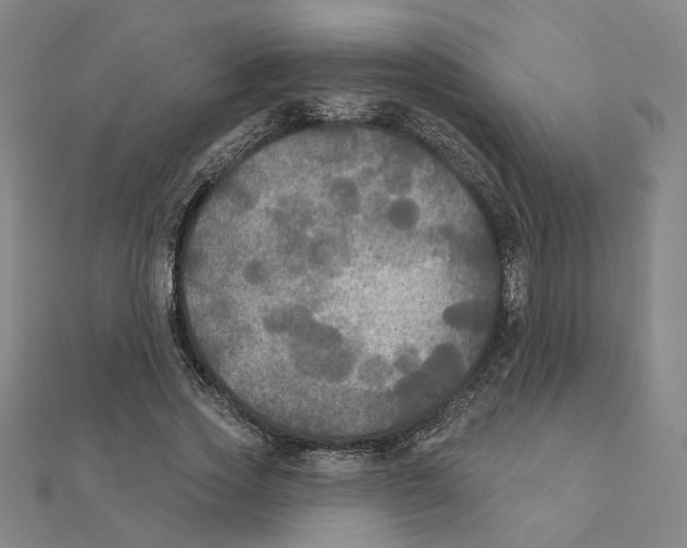 X0000111220733200907301225